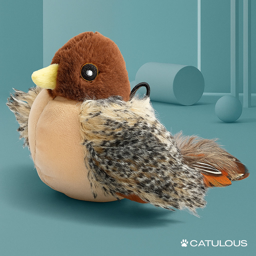 Catulous™ AeroBird
